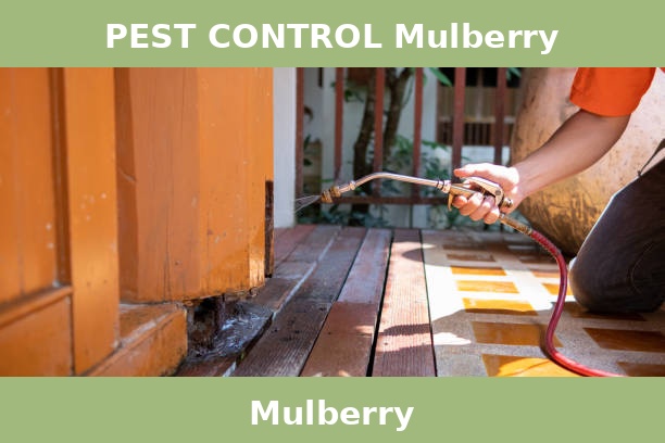 PEST CONTROL Mulberry